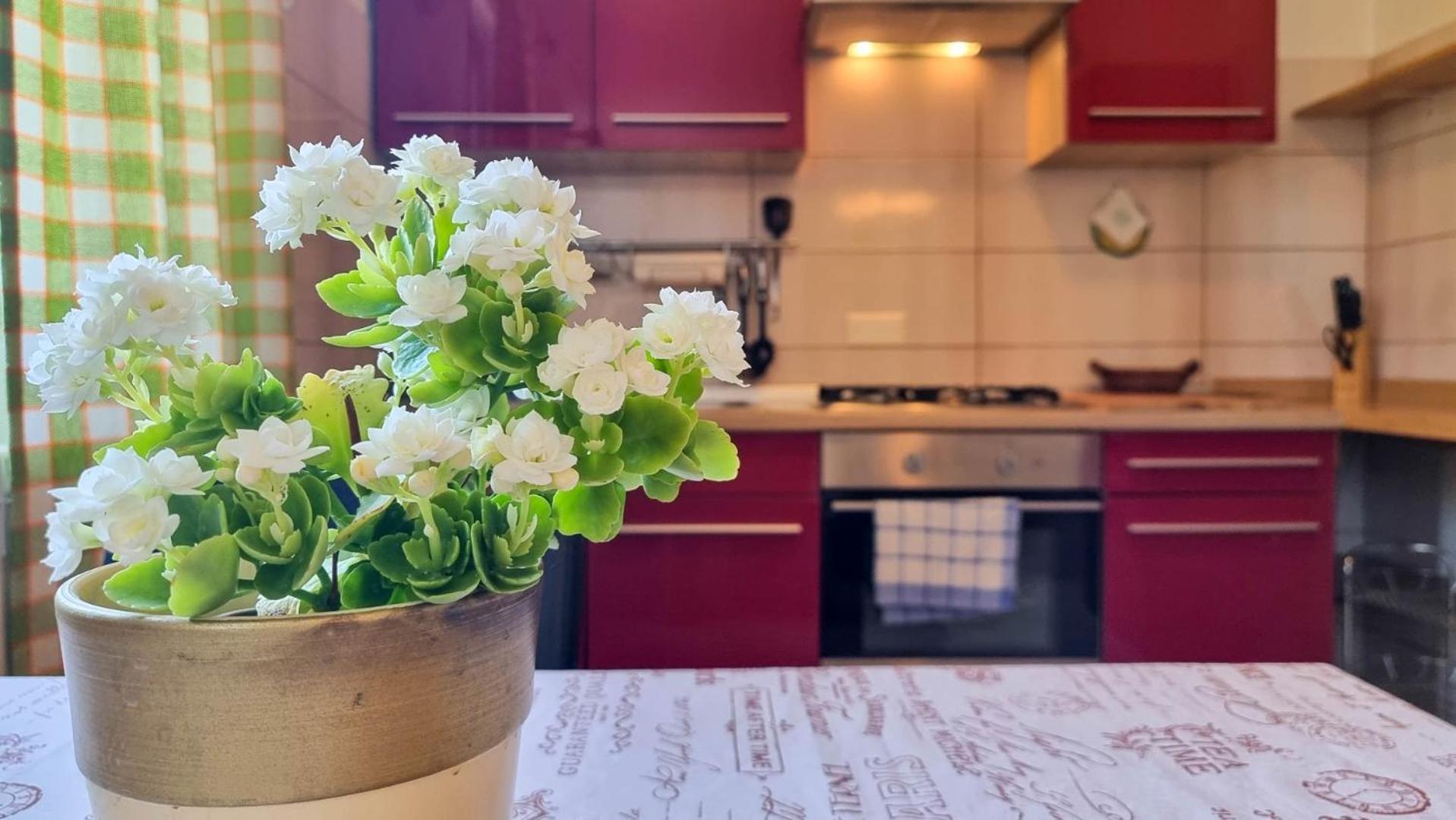 Apartamento Mirjana Four Novigrad Istria Exterior foto